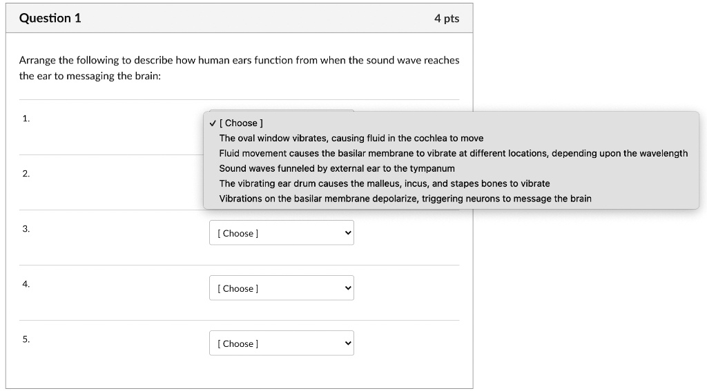SOLVED Question 1 4 pts Arrange the following to describe how human