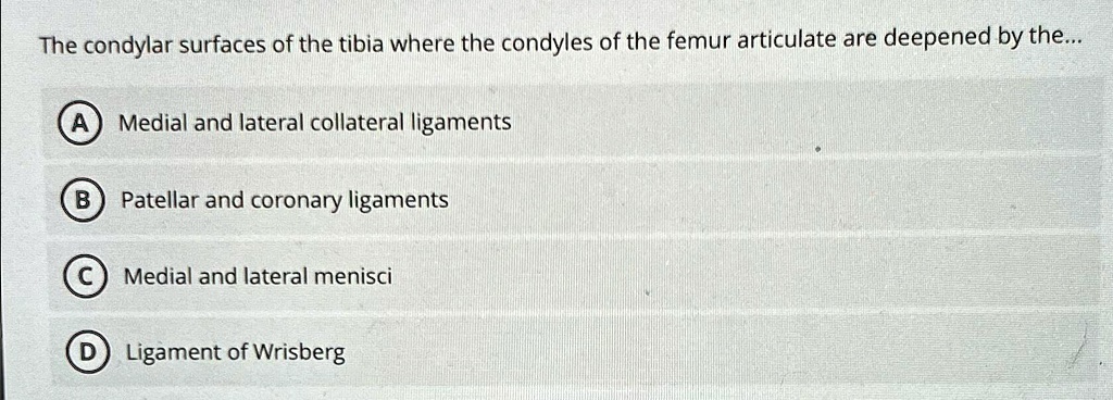 SOLVED: The condylar surfaces of the tibia where the condyles of the ...