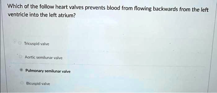Which of the following heart valves prevents blood from flowing backwards from the left
ventricle into the left atrium?

Tricuspid valve
Aortic semilunar valve
Pulmonary semilunar valve
Bicuspid valve