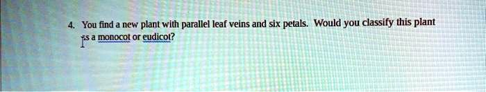 SOLVED: You find a new plant with parallel Ieaf veins and six petals ...