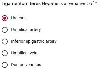 Solved: Ligamentum Teres Hepatis Is A Remnant Of Urachus Umbilical 