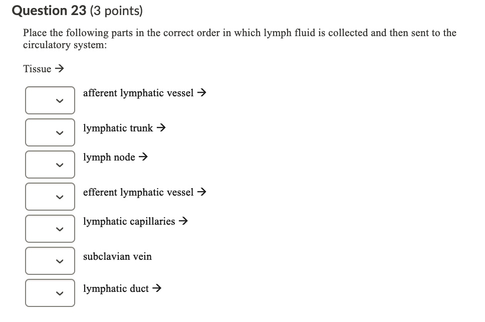 Question 23 (3 points)
Place the following parts in the correct order in which lymph fluid is collected and then sent to the circulatory system:
Tissue ->
afferent lymphatic vessel ->
lymphatic trunk ->
lymph node ->
efferent lymphatic vessel ->
lymphatic capillaries ->
subclavian vein
lymphatic duct ->