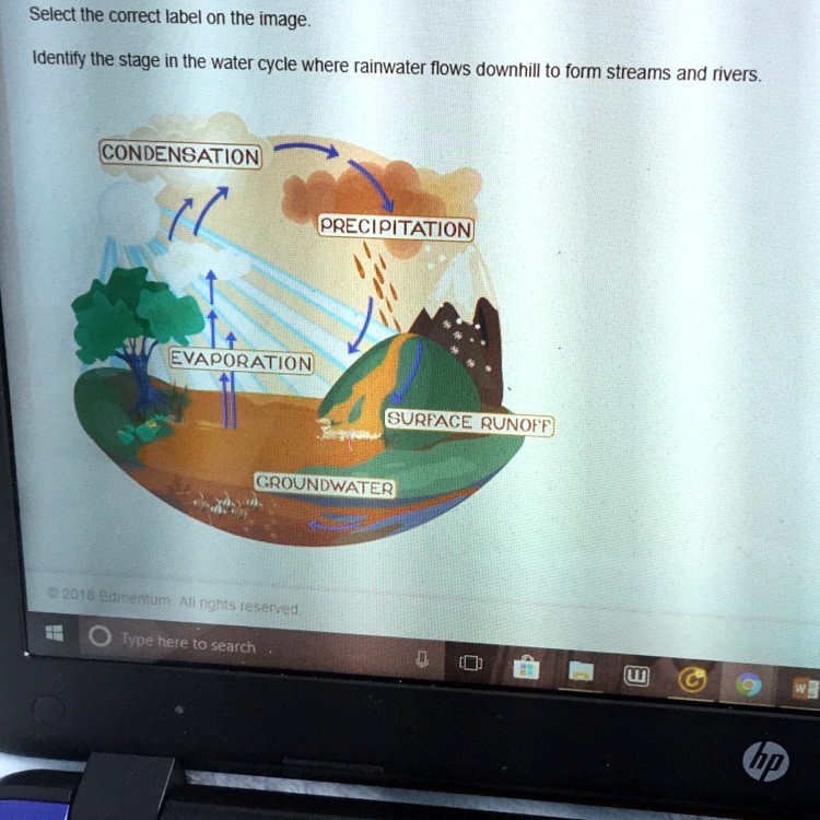 SOLVED 'Please help me!!!!!!!! Select the correct label on the image