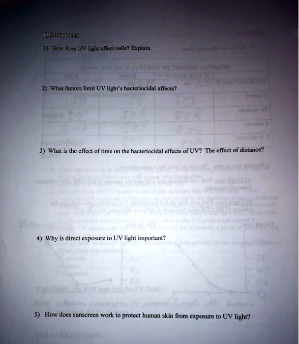 SOLVED Text Questions How does UV light affect cells? Explain. What