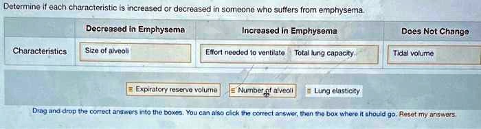 Determine if each characteristic is increased or decreased in someone who suffers from emphysema.
Decreased in Emphysema
Increased in Emphysema
Does Not Change
Characteristics
Size of alveoli
Effort needed to ventilate
Total lung capacity
Tidal volume
Expiratory reserve volume
Number of alveoli
Lung elasticity
Drag and drop the correct answers into the boxes. You can also click the correct answer, then the box where it should go. Reset my answers.