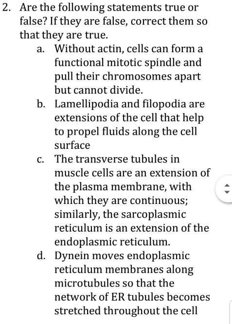 Which Of The Following Statements Is True About Memory Cells SOLVED: Are the following statements true or false? If they are false