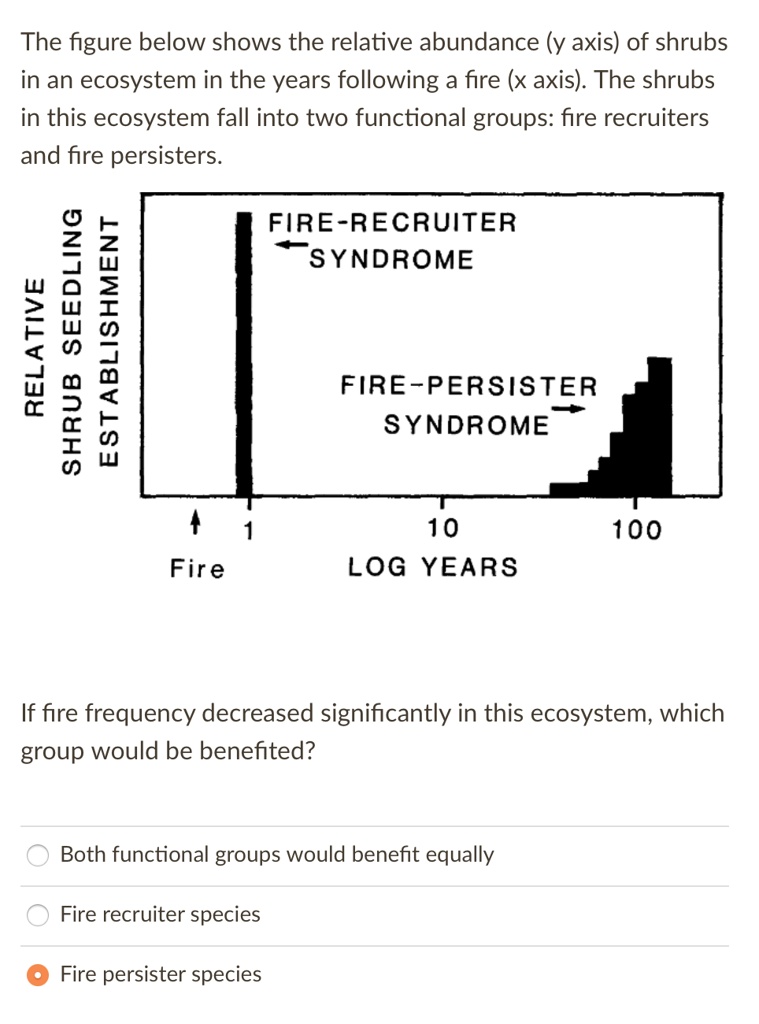 The figure below shows the relative abundance (y axis) of shrubs in an ecosystem in the years following a fire (x axis). The shrubs in this ecosystem fall into two functional groups: fire recruiters and fire persisters.

RELATIVE SHRUB SEEDLING ESTABLISHMENT
FIRE-RECRUITER SYNDROME
FIRE-PERSISTER SYNDROME
Fire 1 10 100
LOG YEARS

If fire frequency decreased significantly in this ecosystem, which group would be benefited?

Both functional groups would benefit equally
Fire recruiter species
Fire persister species