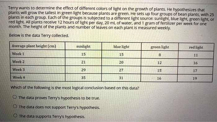 Terry wants to determine the effect of different colors of light on the growth of plants. He hypothesizes that plants will grow the tallest in green light because plants are green. He sets up four groups of bean plants, with 25 plants in each group. Each of the groups is subjected to a different light source: sunlight, blue light, green light, or red light. All plants receive 12 hours of light per day, 20 mL of water, and 1 gram of fertilizer per week for one month. The height of the plants and number of leaves on each plant is measured weekly.
Below is the data Terry collected.
Average plant height (cm) | sunlight | blue light | green light | red light
Week 1 | 15 | 15 | 8 | 11
Week 2 | 21 | 20 | 12 | 16
Week 3 | 29 | 27 | 15 | 17
Week 4 | 35 | 31 | 16 | 19
Which of the following is the most logical conclusion based on this data?
- The data proves Terry's hypothesis to be true.
- The data does not support Terry's hypothesis.
- The data supports Terry's hypothesis.