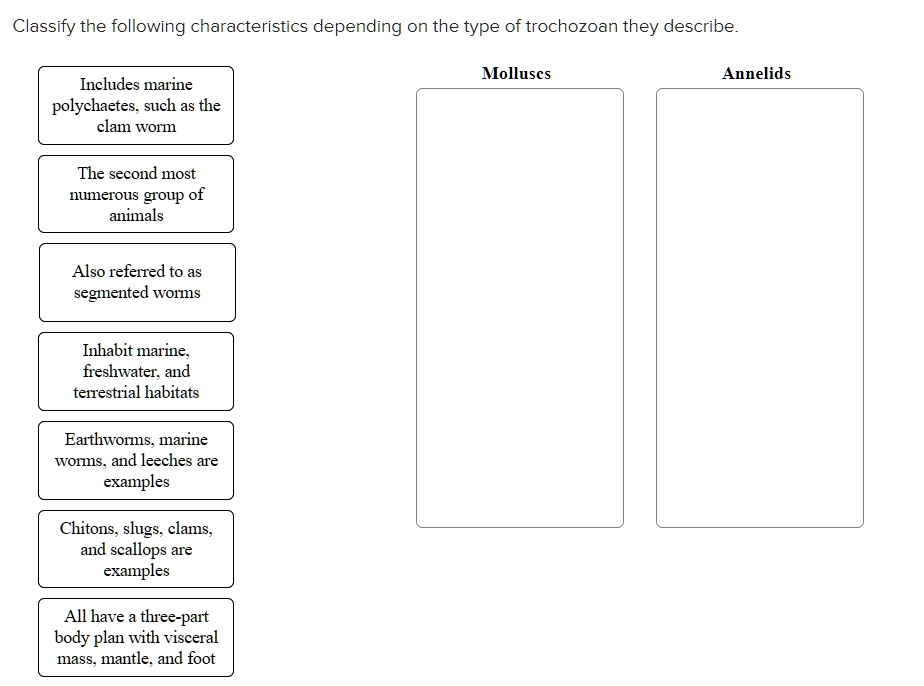 Classify the following characteristics depending on the type of trochozoan they describe.
Molluscs
Annelids
Includes marine polychaetes, such as the clam worm
The second most numerous group of animals
Also referred to as segmented worms
Inhabit marine, freshwater, and terrestrial habitats
Earthworms, marine worms, and leeches are examples
Chitons, slugs, clams, and scallops are examples
All have a three-part body plan with visceral mass, mantle, and foot