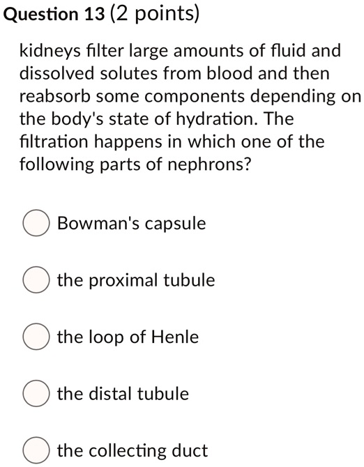 SOLVEDQuestion 13 (2 points) kidneys filter large amounts of fluid and