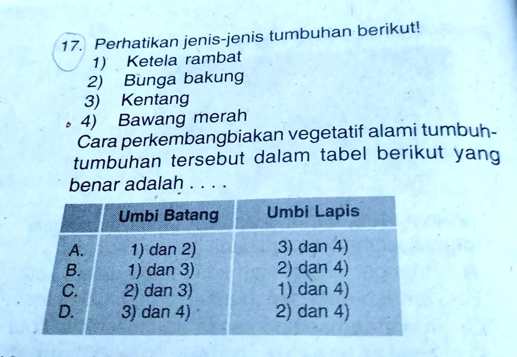 SOLVED: Cara Perkembangbiakan Vegetatif Alami Tumbuhan Tersebut Dalam ...