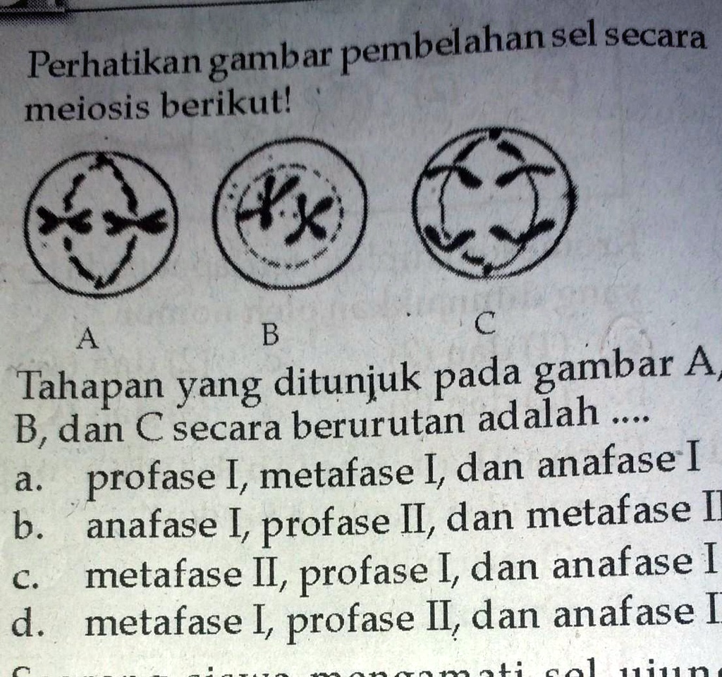 Solved Tahapan Yang Ditunjuk Pada Gambar Ab Dan C Secara Berurutan