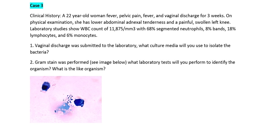 Case 3

Clinical History: A 22 year-old woman fever, pelvic pain, fever, and vaginal discharge for 3 weeks. On physical examination, she has lower abdominal adnexal tenderness and a painful, swollen left knee. Laboratory studies show WBC count of 11,875/mm3 with 68% segmented neutrophils, 8% bands, 18% lymphocytes, and 6% monocytes.

1. Vaginal discharge was submitted to the laboratory, what culture media will you use to isolate the bacteria?

2. Gram stain was performed (see image below) what laboratory tests will you perform to identify the organism? What is the like organism?
