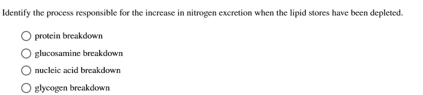 Identify the process responsible for the increase in nitrogen excretion when the lipid stores have been depleted.

protein breakdown
glucosamine breakdown
nucleic acid breakdown
glycogen breakdown