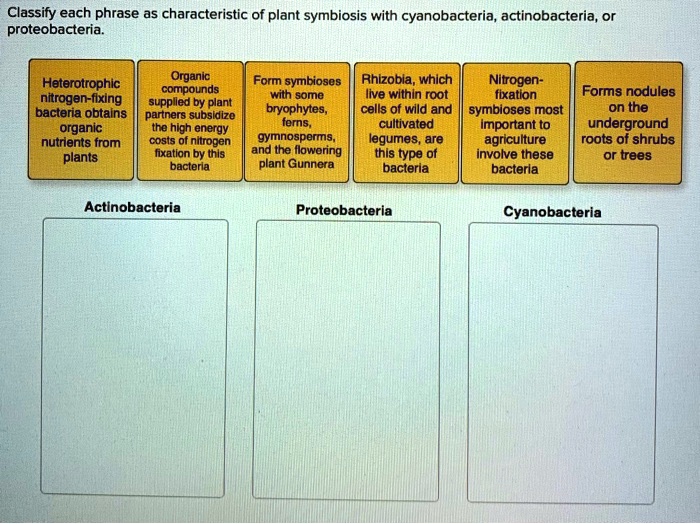 classify each phrase as characteristic of plant symbiosis with ...