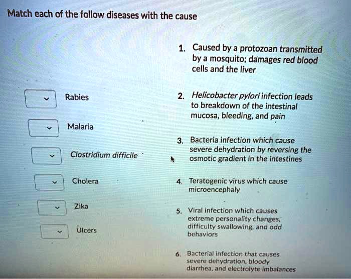 SOLVED Match each of the follow diseases with the cause Caused by a