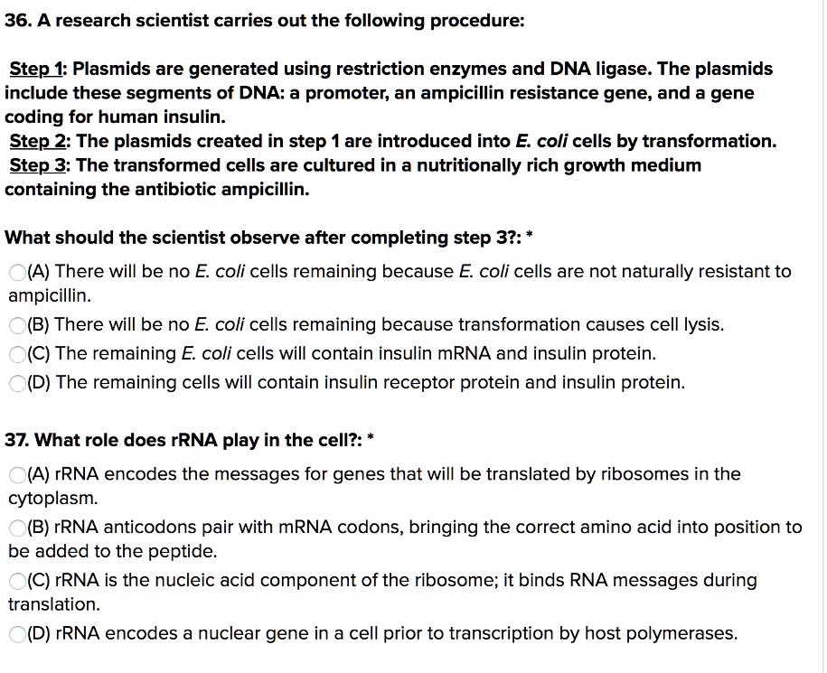 36. A research scientist carries out the following procedure:

Step 1: Plasmids are generated using restriction enzymes and DNA ligase. The plasmids include these segments of DNA: a promoter, an ampicillin resistance gene, and a gene coding for human insulin.
Step 2: The plasmids created in step 1 are introduced into E. coli cells by transformation.
Step 3: The transformed cells are cultured in a nutritionally rich growth medium containing the antibiotic ampicillin.

What should the scientist observe after completing step 3?:
(A) There will be no E. coli cells remaining because E. coli cells are not naturally resistant to ampicillin.
(B) There will be no E. coli cells remaining because transformation causes cell lysis.
(C) The remaining E. coli cells will contain insulin mRNA and insulin protein.
(D) The remaining cells will contain insulin receptor protein and insulin protein.

37. What role does rRNA play in the cell?:
(A) rRNA encodes the messages for genes that will be translated by ribosomes in the cytoplasm.
(B) rRNA anticodons pair with mRNA codons, bringing the correct amino acid into position to be added to the peptide.
(C) rRNA is the nucleic acid component of the ribosome; it binds RNA messages during translation.
(D) rRNA encodes a nuclear gene in a cell prior to transcription by host polymerases.