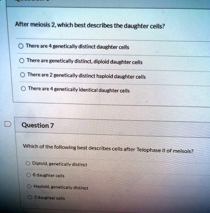 After meiosis 2, which best describes the daughter cells?

There are 4 genetically distinct daughter cells
There are genetically distinct, diploid daughter cells
There are 2 genetically distinct haploid daughter cells
There are 4 genetically identical daughter cells

Question 7

Which of the following best describes cells after Telophase II of meiosis?

Diploid, genetically distinct
8 daughter cells
Haploid, genetically distinct
2 daughter cells