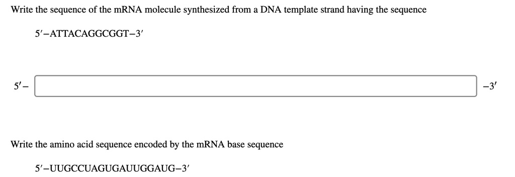 SOLVED: Write the sequence of the mRNA molecule synthesized from a DNA ...