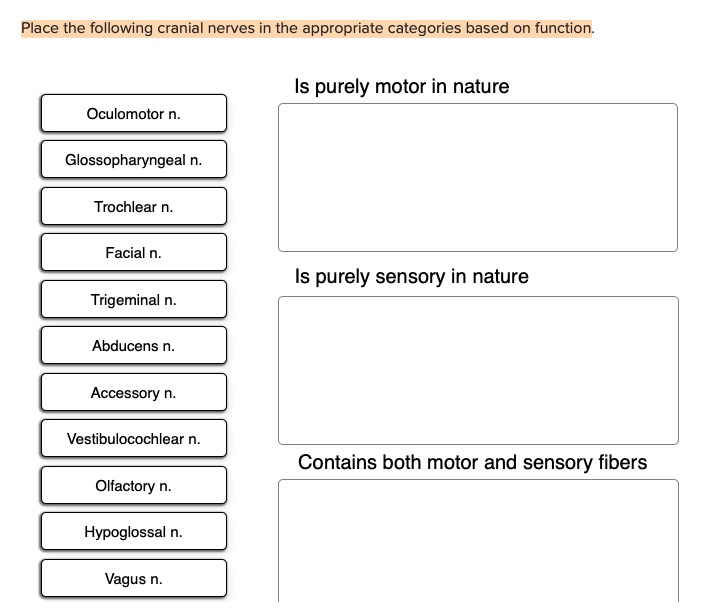 Place the following cranial nerves in the appropriate categories based on function.
Oculomotor n.
Glossopharyngeal n.
Trochlear n.
Facial n.
Trigeminal n.
Abducens n.
Accessory n.
Vestibulocochlear n.
Olfactory n.
Hypoglossal n.
Vagus n.
Is purely motor in nature
Is purely sensory in nature
Contains both motor and sensory fibers