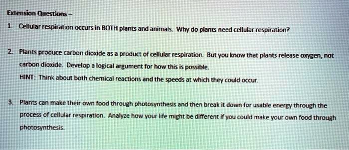 SOLVED: Exesion Ouestions Cellular respiration occurs in BOTH plants and  animals Why do plants need cellular respiration? Plants produce carbon  dioxide a5 . product of cellular respiration . But YoU know that