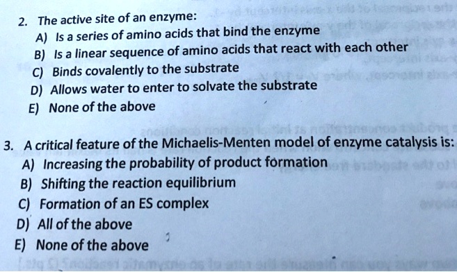 the active site of an enzyme is a series of amino acids that bind the ...