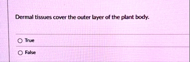 dermal tissues cover the outer layer of the plant body true false 19038