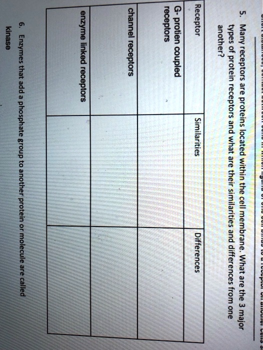 SOLVED Gprotein coupled receptors are receptor proteins located in