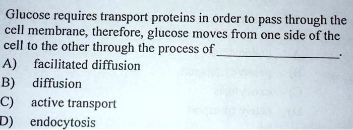 Glucose requires transport proteins in order to pass through the cell membrane, therefore, glucose moves from one side of the cell to the other through the process of .
A) facilitated diffusion
B) diffusion
C) active transport
D) endocytosis