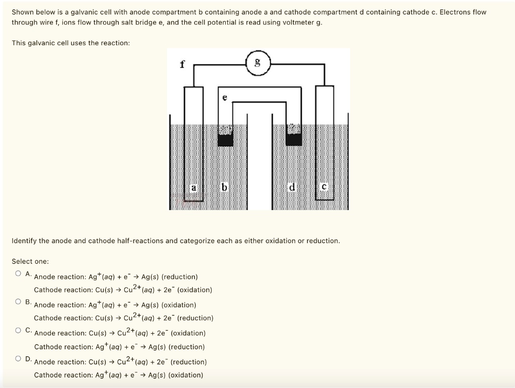 SOLVED Shown below is galvanic cell Vith anode compartment containing