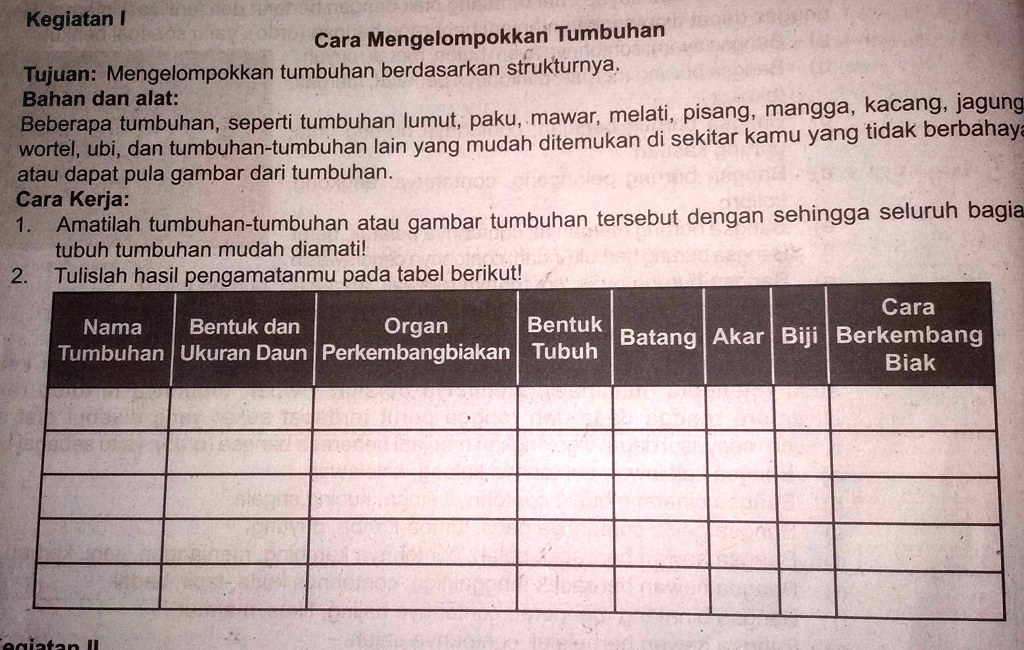 SOLVED: Please...krjkn Pr Ku Kegiatan | Cara Mengelompokkan Tumbuhan ...