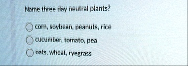 name three day neutral plants corn soybean peanuts rice cucumber tomato pea oats wheat ryegrass 21557