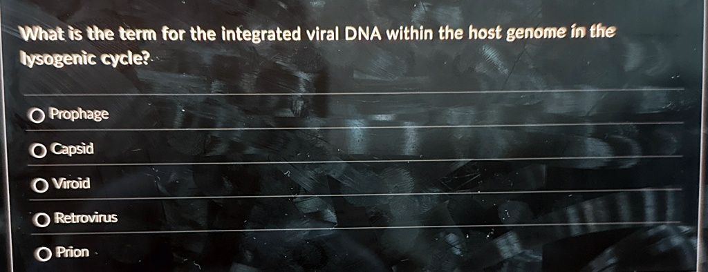 What is the term for the integrated viral DNA within the host genome in the lysogenic cycle?
O Prophage
O Capsid
O Viroid
O Retrovirus
O Prion