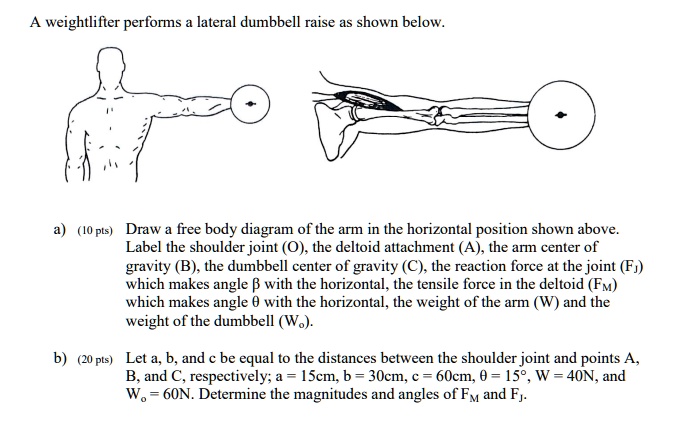 SOLVED: A weightlifter performs a lateral dumbbell raise as shown below ...