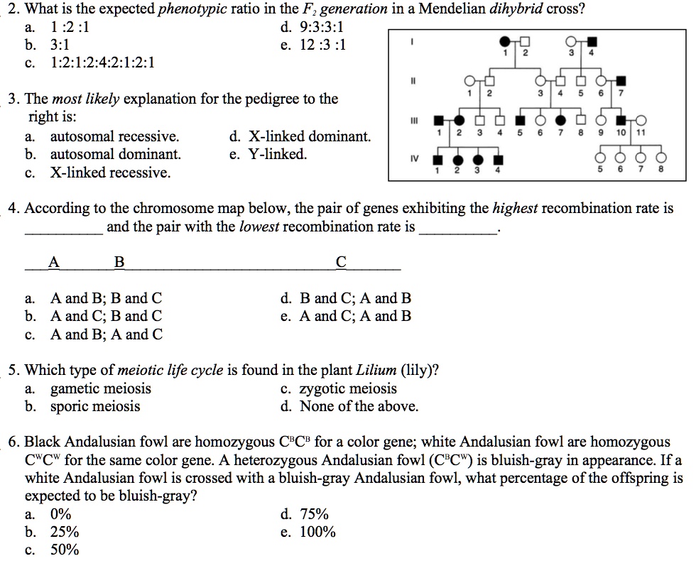 solved-what-is-the-expected-phenotypic-ratio-in-the-fz-generation-in-a