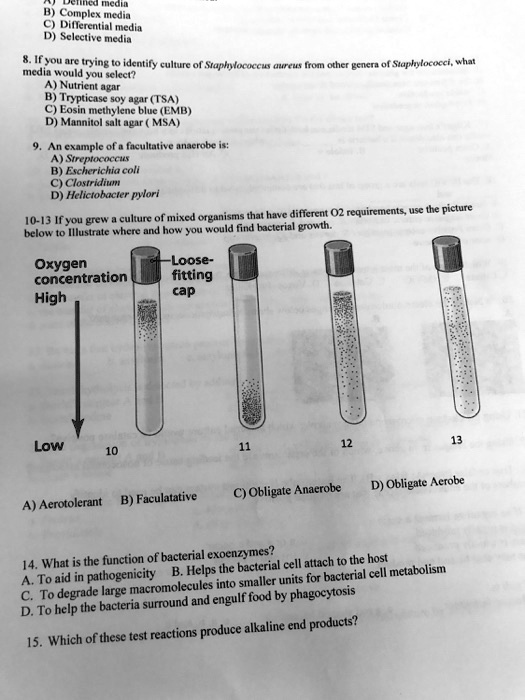 B) Complex media
C) Differential media
D) Selective media
8. If you are trying to identify culture of Staphylococcus aureus from other genera of Staphylococci, what
media would you select?
A) Nutrient agar
B) Trypticase soy agar (TSA)
C) Eosin methylene blue (EMB)
D) Mannitol salt agar (MSA)
9. An example of a facultative anaerobe is:
A) Streptococcus
B) Escherichia coli
C) Clostridium
D) Helictobacter pylori
10-13 If you grew a culture of mixed organisms that have different O2 requirements, use the picture
below to Illustrate where and how you would find bacterial growth.
Oxygen concentration
High
Low
Loose-fitting cap
10 11 12 13
A) Aerotolerant B) Faculatative
C) Obligate Anaerobe
D) Obligate Aerobe
14. What is the function of bacterial exoenzymes?
A. To aid in pathogenicity B. Helps the bacterial cell attach to the host
C. To degrade large macromolecules into smaller units for bacterial cell metabolism
D. To help the bacteria surround and engulf food by phagocytosis
15. Which of these test reactions produce alkaline end products?