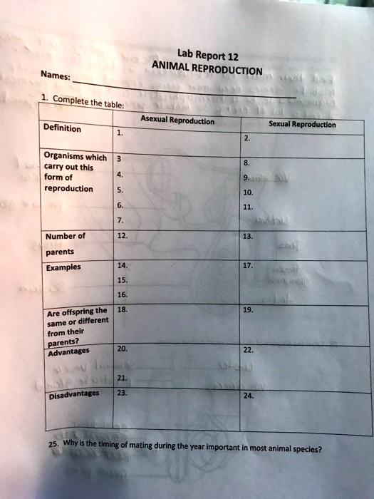 SOLVED Lab Report 12 ANIMAL REPRODUCTION Complete the table Asexual