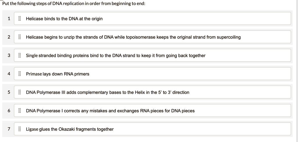 Put the following steps of DNA replication in order from beginning to end:
1 Helicase binds to the DNA at the origin
2 Helicase begins to unzip the strands of DNA while topoisomerase keeps the original strand from supercoiling
3 Single stranded binding proteins bind to the DNA strand to keep it from going back together
4 Primase lays down RNA primers
5 DNA Polymerase III adds complementary bases to the Helix in the 5' to 3' direction
6 DNA Polymerase I corrects any mistakes and exchanges RNA pieces for DNA pieces
7 Ligase glues the Okazaki fragments together