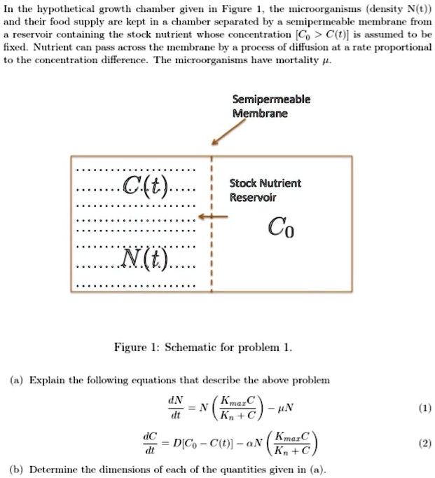SOLVED: Mathematical Applications of Biology In the hypothetical growth ...