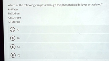 which of the following can pass through the phospholipid bi layer unassisted a water b sodium c sucrose d steroid a a b b c c d d 01482