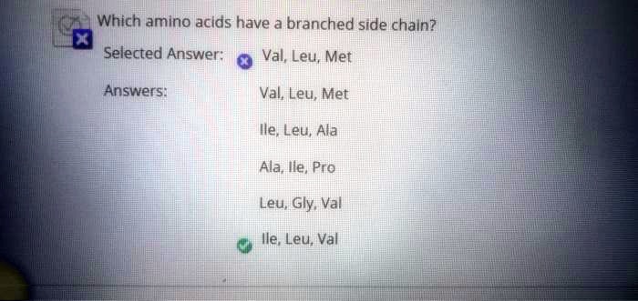 Which amino acids have a branched side chain?
Selected Answer: Val, Leu, Met
Answers:
Val, Leu, Met
Ile, Leu, Ala
Ala, Ile, Pro
Leu, Gly, Val
Ile, Leu, Val