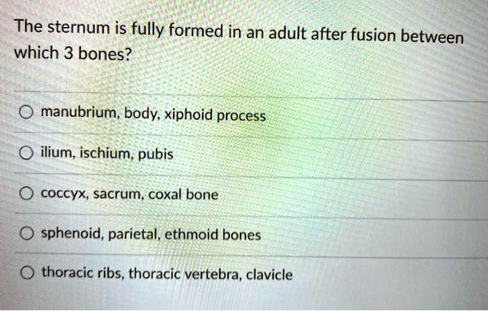 The sternum is fully formed in an adult after fusion between which 3 bones?

manubrium, body, xiphoid process
ilium, ischium, pubis
coccyx, sacrum, coxal bone
sphenoid, parietal, ethmoid bones
thoracic ribs, thoracic vertebra, clavicle
