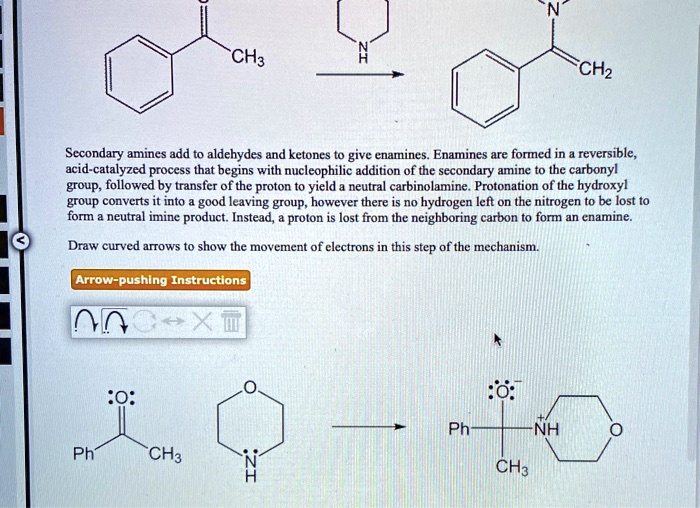 Solved Ch3 Secondary Amines Add To Aldehydes And Ketones To Give Enamines Enamines Are Formed