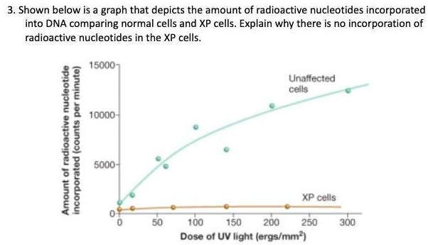 3. Shown below is a graph that depicts the amount of...