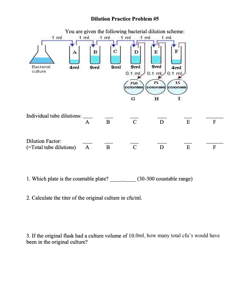 Dilution Practice Problem #5

You are given the following bacterial dilution scheme:
1 ml 1 ml 1 ml 1 ml 1 ml 1 ml
Bacterial culture
A 4ml
B 9ml
C 9ml
D 9ml
E 9ml
F 4ml
0.1 ml 0.1 ml 0.1 ml
750 colonies 75 colonies 15 colonies
G H I

Individual tube dilutions:      
A B C D E F

Dilution Factor:      
(=Total tube dilutions) A B C D E F

1. Which plate is the countable plate?  (30-300 countable range)

2. Calculate the titer of the original culture in cfu/ml.

3. If the original flask had a culture volume of 10.0ml, how many total cfu's would have been in the original culture?