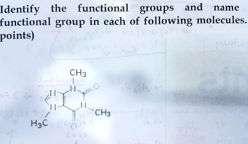 Solved Identify The Functional Groups And Name Functional Group In Each Of Following Molecules