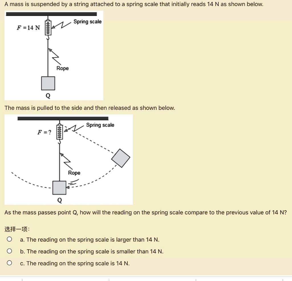A mass is suspended by a string attached to a spring scale that ...