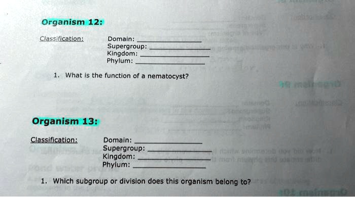 SOLVED: Organism 12: Classification: Domain: Supergroup: Kingdom