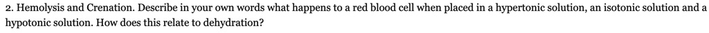 Hemolysis and Crenation. Describe in your own words what happens to a red blood cell when placed in a hypertonic solution, an isotonic solution and a hypotonic solution. How does this relate to dehydration?