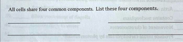 what components do all cells share in common